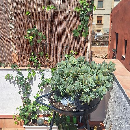 El Terrat De La Tecla - Duplex Casc Antic Apartment Tarragona Ngoại thất bức ảnh